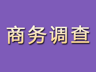 渭滨商务调查